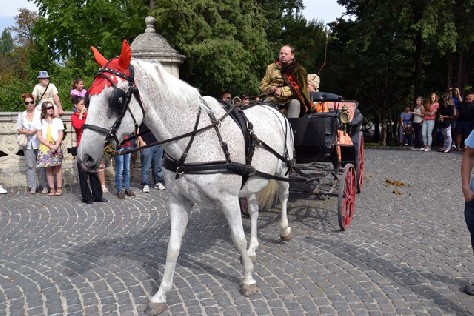 XI. Barokk Kastélynapok
2012_brokk03.jpg (640 x 427)
130218 byte (127.17 KiB)